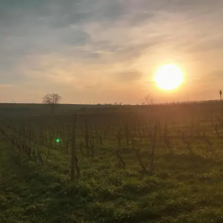Haus Am Bach - Schoene Grosse Moderne Mit Terrasse Apartment *