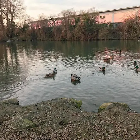 Haus Am Bach - Schoene Grosse Moderne Mit Terrasse * Osthofen