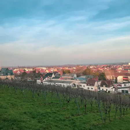 Haus Am Bach - Schoene Grosse Moderne Mit Terrasse Osthofen