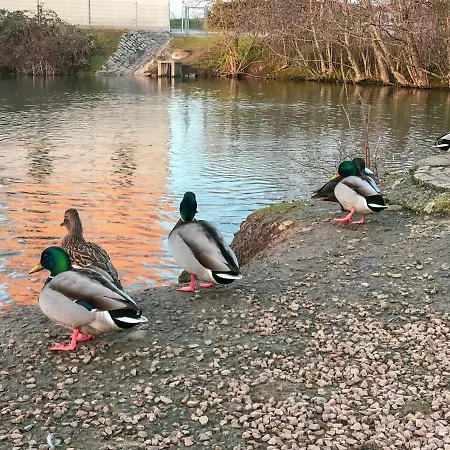 Haus Am Bach - Schoene Grosse Moderne Mit Terrasse Apartment *