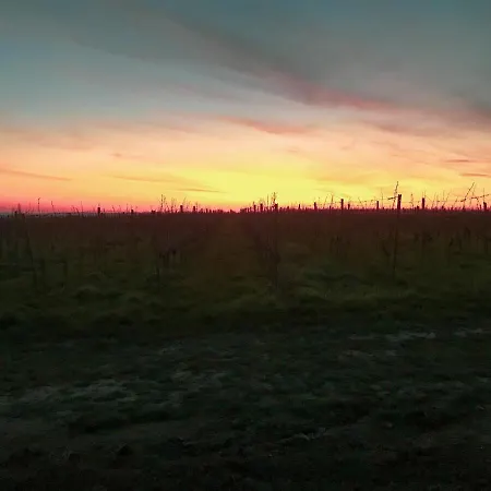 Haus Am Bach - Schoene Grosse Moderne Mit Terrasse Apartment