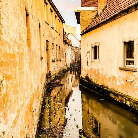 Haus Am Bach - Schoene Grosse Moderne Mit Terrasse Osthofen