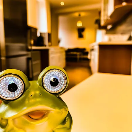 דירה Haus Am Bach - Schoene Grosse Moderne Mit Terrasse *